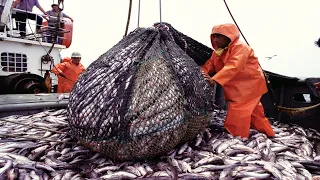 Awesome Fishermen Big Catch of Fish on the Boat - Amazing Fisherman Catch Fish By Net Fishing #02