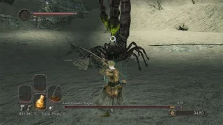 Dark Souls 2 Bow Only Scorpioness Najka