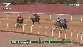 Live Hippodrome « MARRAKECH » | Courses du « 24/10/2022 »