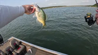 Texas Crappie Fishing NonStop THUMPS