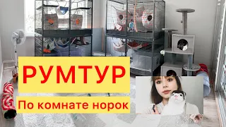 Румтур по комнате НОРОК | Цаца и Кица