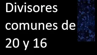 Divisores comunes de 20 y 16 . simultaneamente dividan a