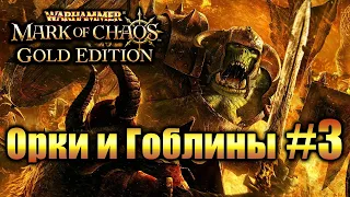 ФИНАЛ Warhammer Печать Хаоса: Марш Разрушения - Орки и Гоблины #3