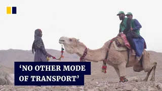 Census workers travel by camel to reach far-flung areas of Pakistan