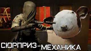 Сюрприз-механика | Rainbow Six Siege [Деград-отряд]