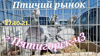 Голуби цены Птичий рынок г Пятигорск-ч3 Pigeons prices Bird market Pyatigorsk-ch3