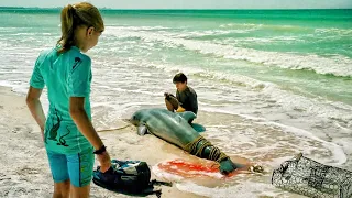 True story of injured dolphin and a boy who saved her.