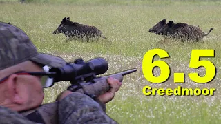 6.5 Creedmoor vs Pack of Running Wild Boar!!! {Catch Clean Cook} Orange Wood Smoked Pork