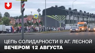 Цепь солидарности в агрогородке Лесной