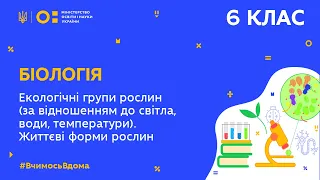 6 клас. Біологія. Екологічні групи рослин. Життєві форми рослин (Тиж.5:ПН)