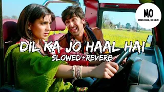 Dil Ka Jo Haal Hai | Slow+Reverb |