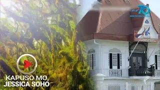 Kapuso Mo, Jessica Soho: 'Mossy Forest' at Aguinaldo Shrine, nababalot umano ng hiwaga?