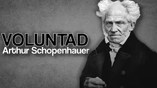 La Voluntad de Schopenhauer | Por qué nunca estamos satisfechos