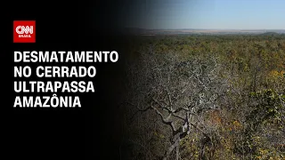 Desmatamento no Cerrado ultrapassa Amazônia | CNN PRIME TIME