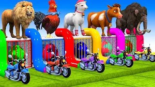 5 Giant Duck, Monkey, Piglet, chicken, dog, cat, cow, Sheep, Transfiguration funny animal 2023