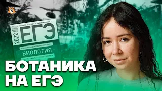 Вся ботаника для ЕГЭ | Биология ЕГЭ 2023 | Умскул