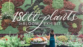 18000 PLANTS AT THE inBLOOM EXHIBIT | The Calyx - Royal Botanic Garden Sydney VLOG