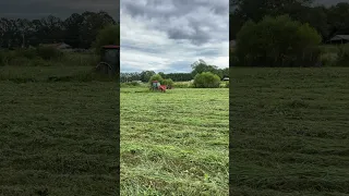 Cutting hay with the Kioti DK4710se! #farm #farming #tractor #tractorvideo #kioti #cattle #diy