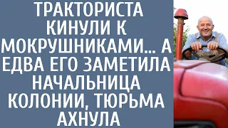 Невиновного тракториста кинули к мокрушниками… А едва его заметила начальница колонии, тюрьма ахнула