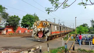 Furious Angry Tiger Speed : BEML Emu Dangerous Aggressive Passing Throughout Railgate