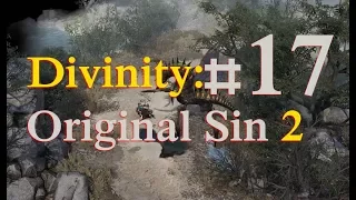 Прохождение Divinity: Original Sin 2 #17 - Глава 4. Овладение силой истока | Они не пройдут
