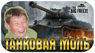 "ТЫ ЧМО И ЖИВОТНОЕ!" - ТАНКОВАЯ МРАЗЬ ЗАЯСНЯЕТ МНЕ ЗА СКИЛЛ | World of Tanks