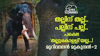 മൂന്നാമത്തെ അടിക്ക് മുമ്പ് ഒന്നുകിൽ വടി , അല്ലെങ്കിൽ നമ്മൾ .. അവൻ്റെ പിടിയിലായിരിക്കും...!