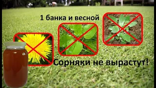 Отличное Средство от сорняков! Весной сорняки НЕ вырастут! Простое средство своими руками