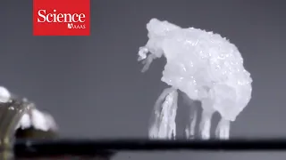 These strange salt ‘creatures’ could help unclog power plant pipes