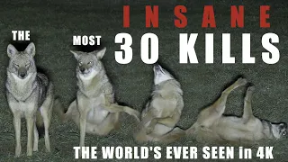 30 UNBELIEVABLE PREDATOR KILLS in 4K...the bar has been raised!