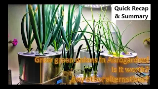 Green Onion Experiment - A Quick Recap | Aerogarden | Traditional regrowing