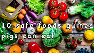 10 safe foods for Guinea pigs