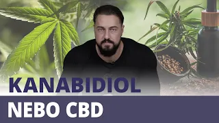 CBD nebo kanabidiol a vše, co vás o něm zajímá 💪 | GymBeam | Fitness Academy