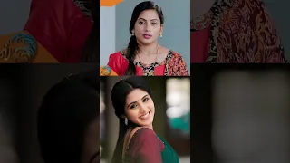 ஒரு எபிசோடுக்கு அதிக சம்பளம் வாங்கும் Tamil Serial Actress #shorts #shortsfeed #short