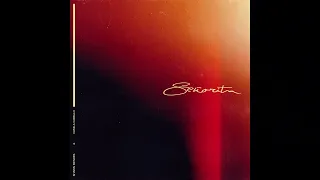 Shawn Mendes, Camila Cabello - Señorita (Official Instrumental w/ Background Vocals)