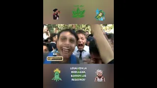 Reportero se pone marihuano,🚭transmisión en vivo,🔞la marihuana es lo mejor del mundo, legalización🤯