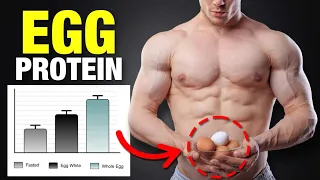 Eggs: The BEST Muscle-Building Food (6 scientific studies)