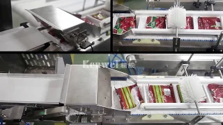 Detector for Aluminum foil and parallel manipulator in new packaging system