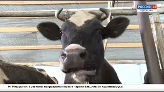 О господдержке агробизнеса в Чувашии смотрите в это воскресенье на канале "Россия 24"