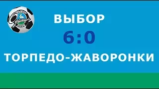 Выбор-Торпедо-Жаворонки, 2009-2010 г.р ., Открытое первенство Одинцовского р-на, весна 2017