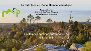 La forêt face au réchauffement climatique. Pourquoi il faut arrêter de subventionner le bois énergie