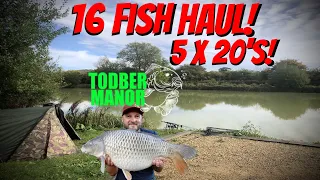 32hrs At Willow Bank, Todber Manor || 16 Fish Haul, 5 x 20's! || Martyns Angling Adventures