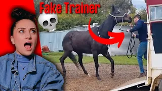 Fake It Until You Make It Horse "Trainer"