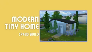 Modern Tiny Home - Speed Build