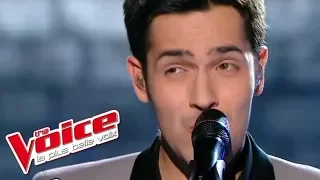 Stevie Wonder – Free | Yoann Fréget | The Voice France 2013 | Prime 4