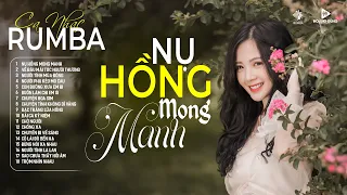 NỤ HỒNG MONG MANH - Ca Nhạc Rumba CỰC HÓT 2024, ÁNH NGUYÊN Cover Làm Tan Chảy Triệu Con Tim