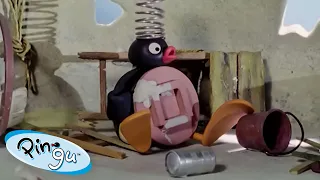 Hardworking Pingu 🐧 | Pingu - Official Channel | Cartoons For Kids