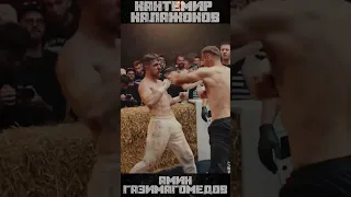 Knockout Top Dog 15 - Кантемир Калажоков vs Амин Газимагомедов #shorts #topdog #bareknuckleboxing