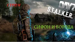 Стрим DAYZ STALKER. СИФОН и БОРОДА Часть 1