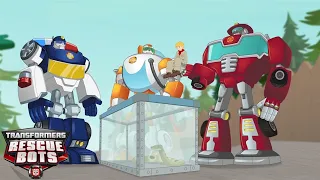 S2E15 | Transformers: Rescue Bots | Buddy System | FULL Episode | Cartoons for Kids |